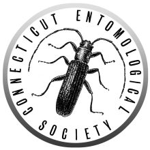 CT Entomological Society logo